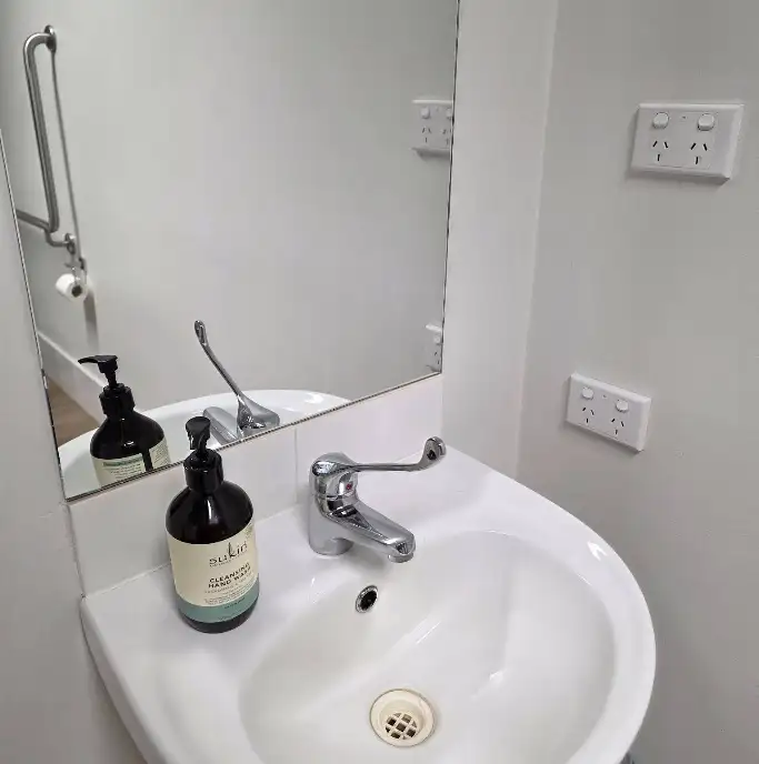 Washroom vanity and sink