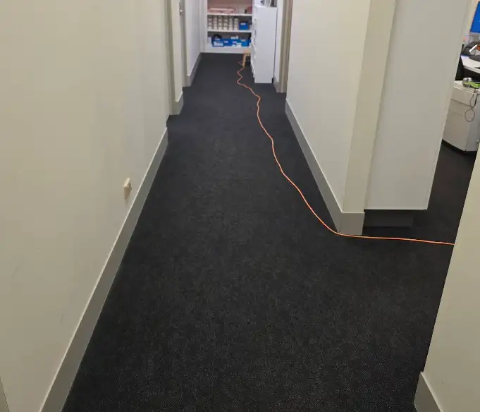 Office hallway carpet